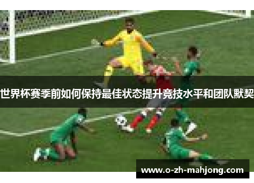世界杯赛季前如何保持最佳状态提升竞技水平和团队默契